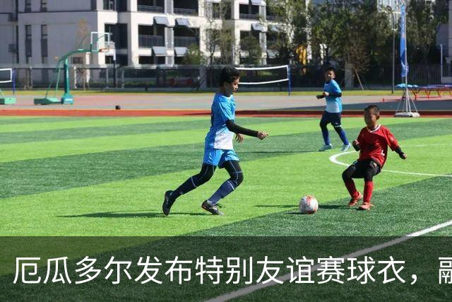 厄瓜多尔发布特别友谊赛球衣，融合神鹰与丹顶鹤元素